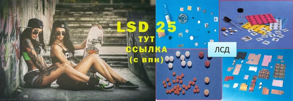 сатива Губаха