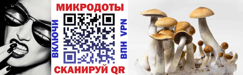 Псилоцибиновые грибы GOLDEN TEACHER  цена   Петухово 